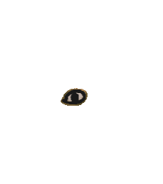 Eye window